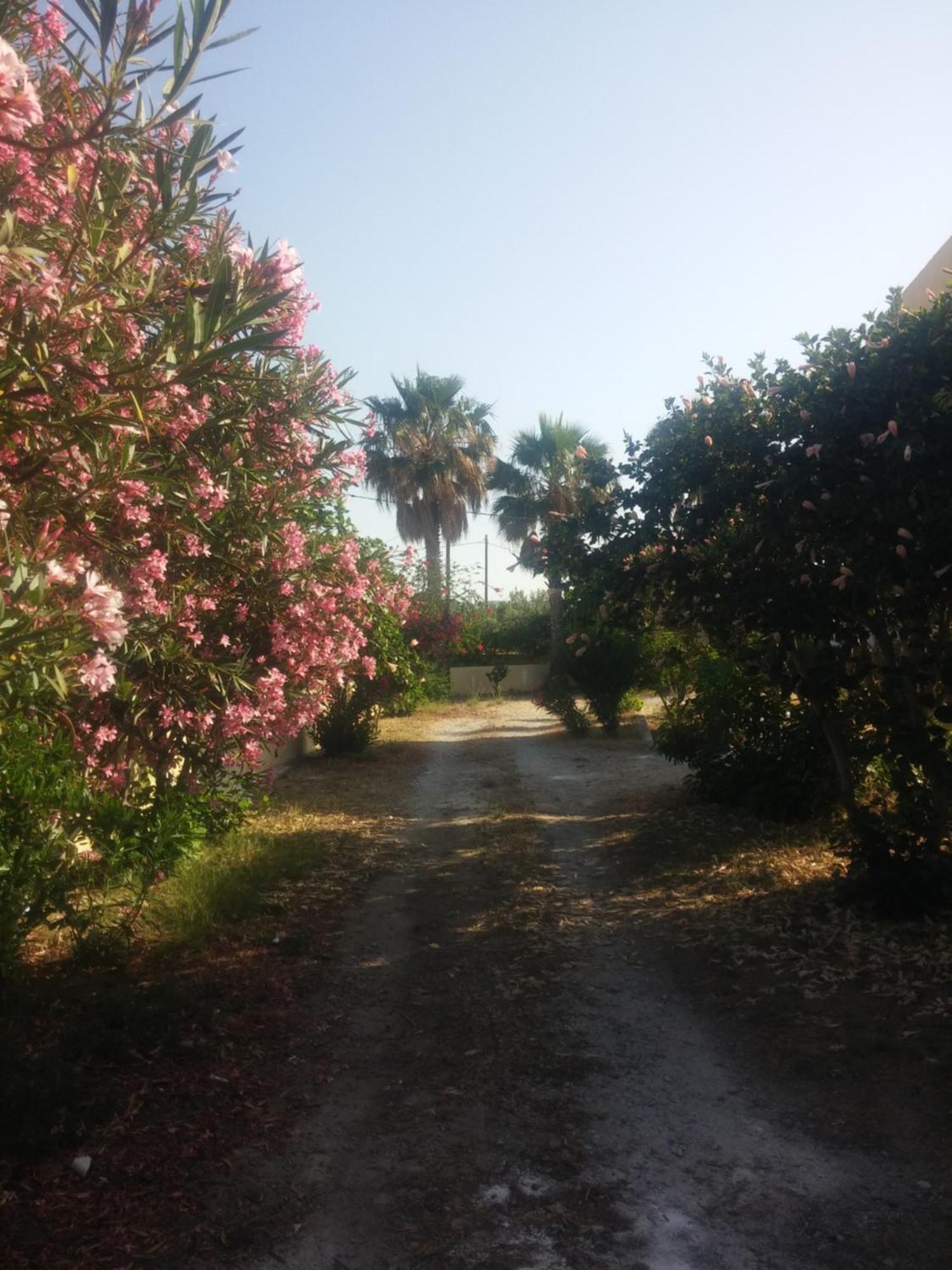 Ζini 2 Villa Kefalos  Luaran gambar