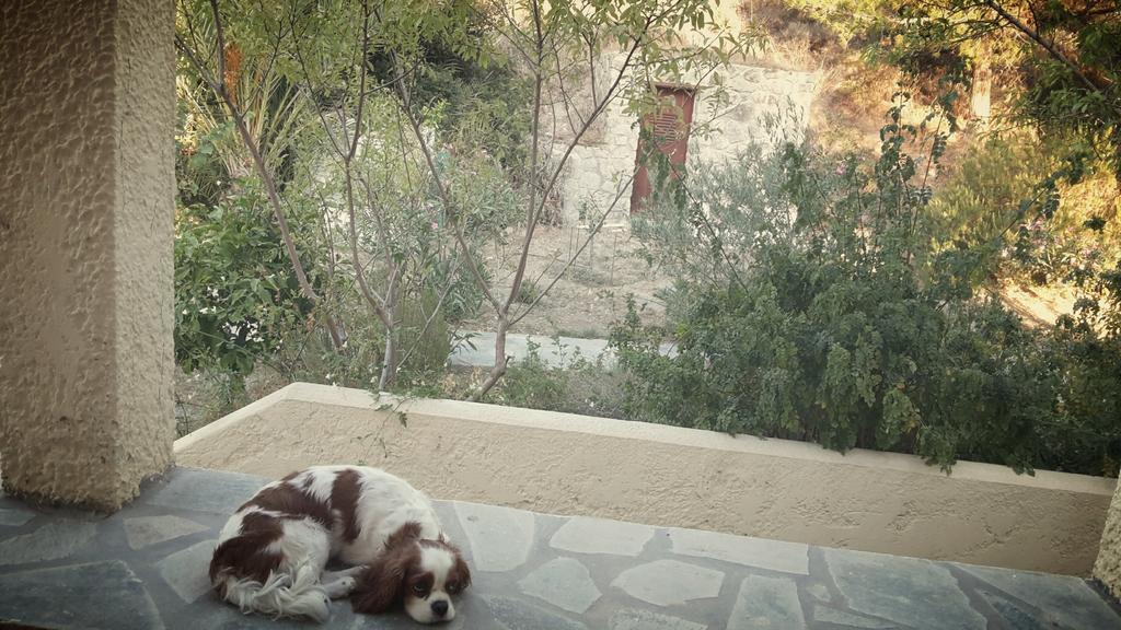 Ζini 2 Villa Kefalos  Luaran gambar